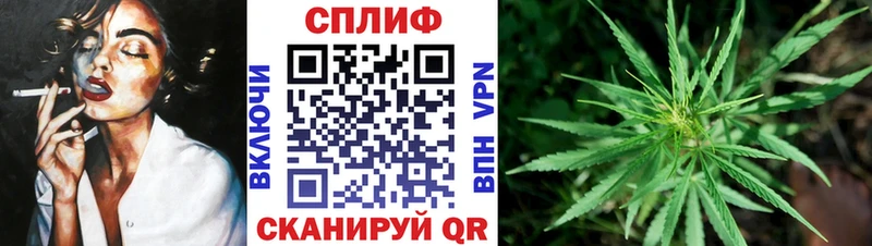 Где найти наркотики Кириши Гашиш  Метадон  МЕФ  Канабис 