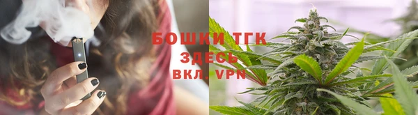 прущие грибы Беломорск