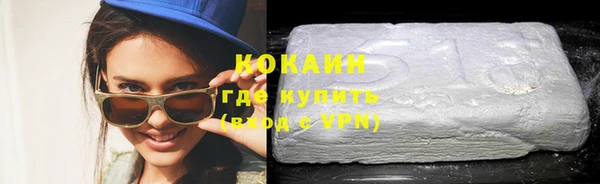 прущие грибы Беломорск