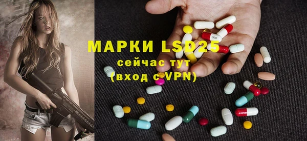 PSILOCYBIN Богданович