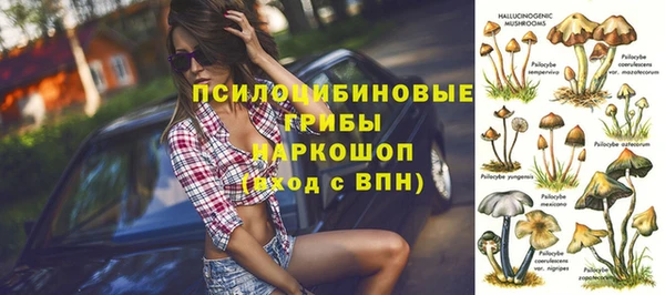 таблы Белокуриха