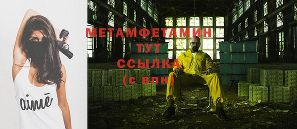 прущие грибы Беломорск