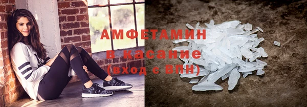 прущие грибы Беломорск