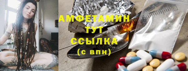 прущие грибы Беломорск