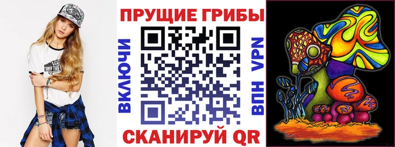 Галлюциногенные грибы MAGIC MUSHROOMS  купить  сайты  Кириши 